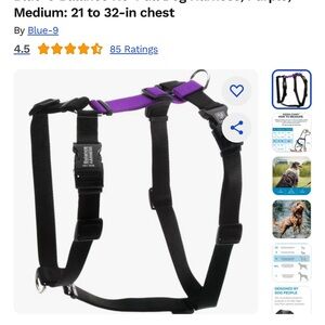 Blue-9 Balance No-Pull Dog Harness - Black and Purple